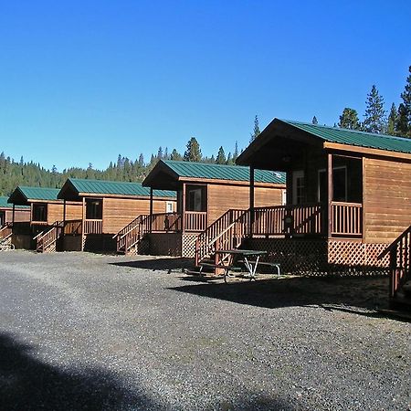 Harden Flat Yosemite Lakes Cabin 40 מראה חיצוני תמונה