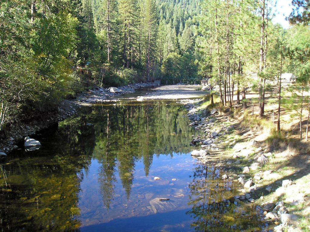 Harden Flat Yosemite Lakes Cabin 40 מראה חיצוני תמונה